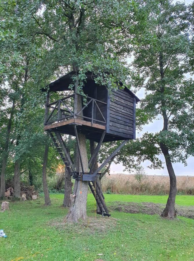 Villa Kaimo Turizmo Sodyba Satavi Kinty Exterior foto